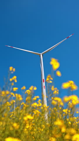 Turbine rises over yellow blooms. A wind turbine rises above vibrant yellow flowers under a clear blue sky, showcasing renewable energy in nature.