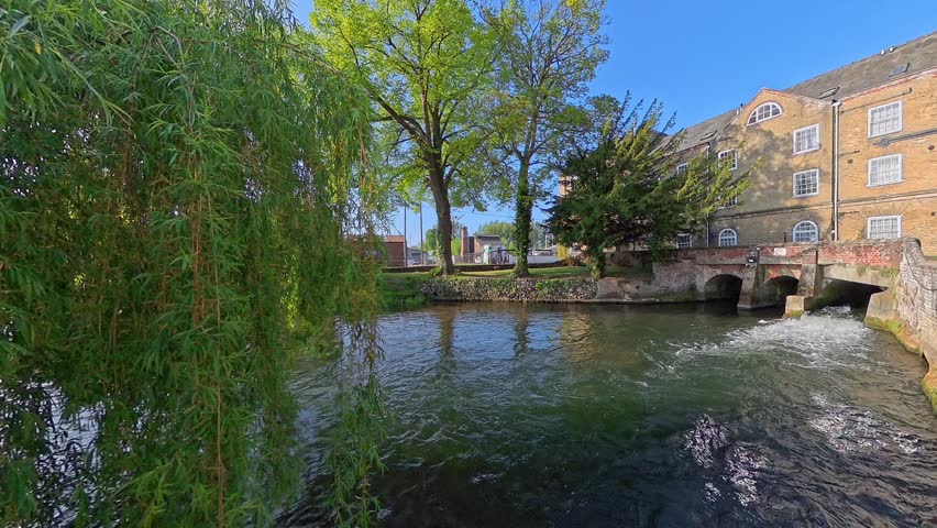 Mill pond on a sunny day. Static camera shot