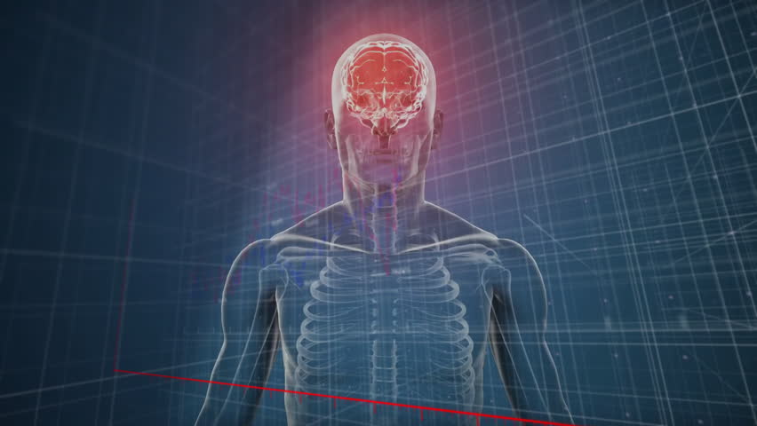 Transparent anatomy model showing skeleton and red brain over rising 3D grid charts. Futuristic, scientific, technology, data visualization, biomedical, innovation, immersive - Powered by Shutterstock - Get 15% off with code: PIKWIZARD15