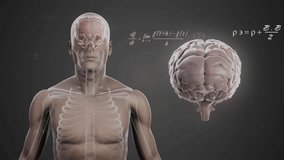 Translucent torso revealing spine and brain floating in 3D render with hovering math formulas. Anatomy, biomechanics, scientific, educational, technological, detailed, medical illustration - Powered by Shutterstock - Get 15% off with code: PIKWIZARD15