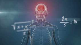 Anatomy figure showing skeleton outline and glowing brain with floating math equations in 3D render. Cybernetics, anatomy, neuroscience, physics, education, futuristic, scientific - Powered by Shutterstock - Get 15% off with code: PIKWIZARD15