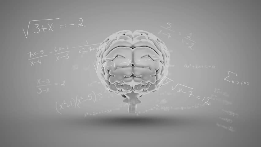 Floating 3D rendered brain model being visualized in grey studio, showing gyri and math formulas. Neural, neuroscience, education, futuristic, minimalistic, scientific, data