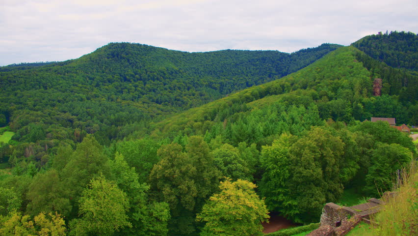 A panoramic view of densely forested hills under an overcast sky, with a forest clearing, a few scattered buildings and castle ruins partially visible among the trees in the valley below.