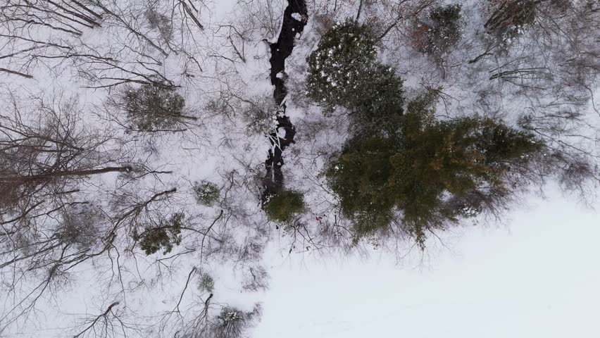 Top View An epic aerial rotation over a winter forest where bare trees cast long shadows on the snow, highlighting the minimalist beauty of the landscape. Nova Scotia, Canada