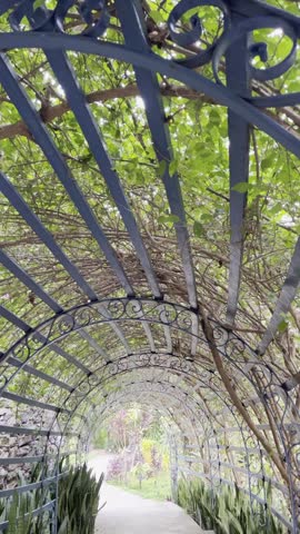  Tilt down of a lush green tunnel in a beautiful garden