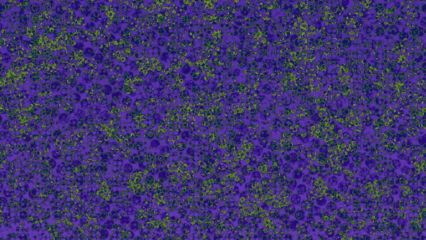 Overlapping, semi-transparent circles fade in over a blank canvas. With pulsing animations and subtle size shifts, they create an organic, textured rhythm—ideal for abstract visual backgrounds.
