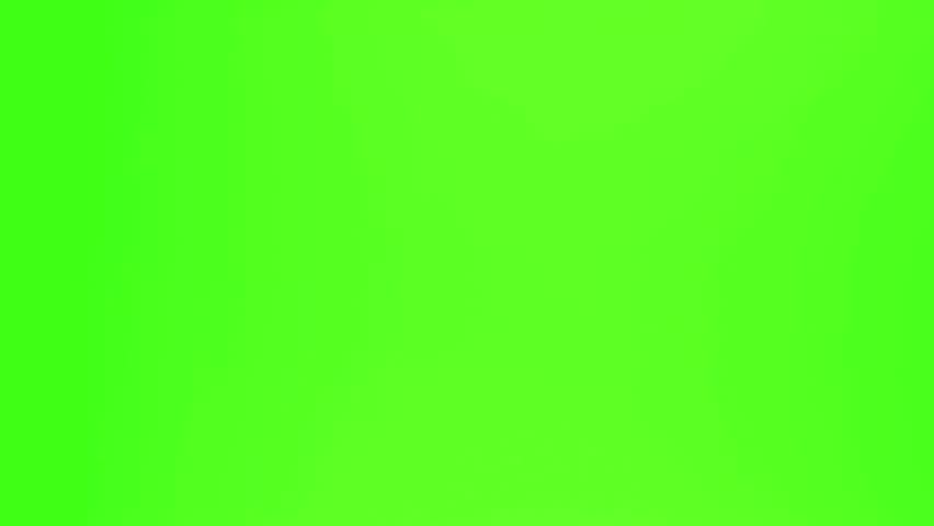 Shutterstock Video