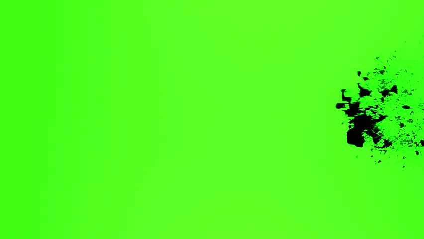 Shutterstock Video