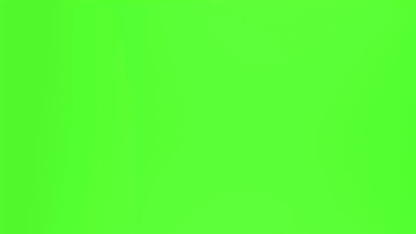 Shutterstock Video