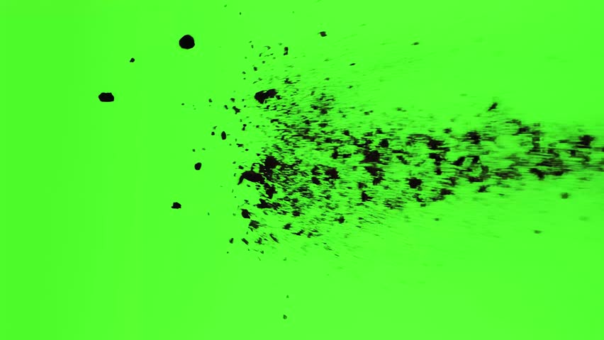 Shutterstock Video