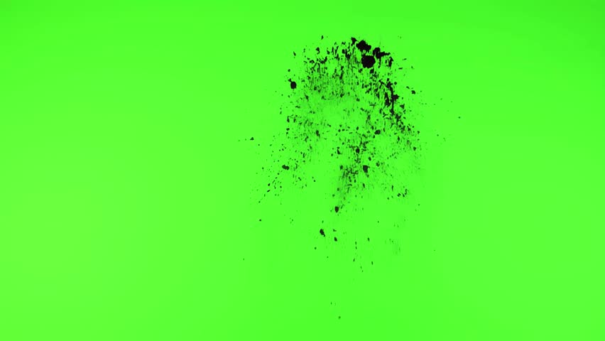 Shutterstock Video