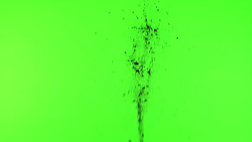 Shutterstock Video