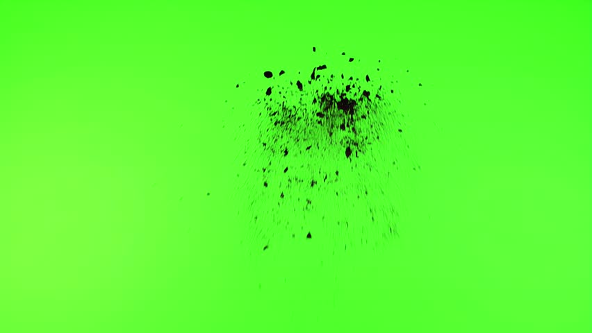 Shutterstock Video