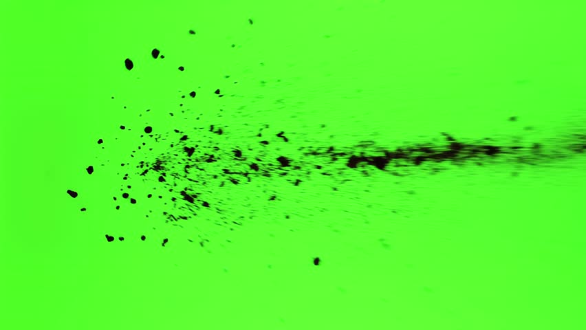 Shutterstock Video