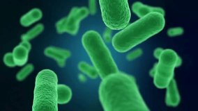 Microscopic Green Rod Shaped Bacteria - Powered by Shutterstock - Get 15% off with code: PIKWIZARD15