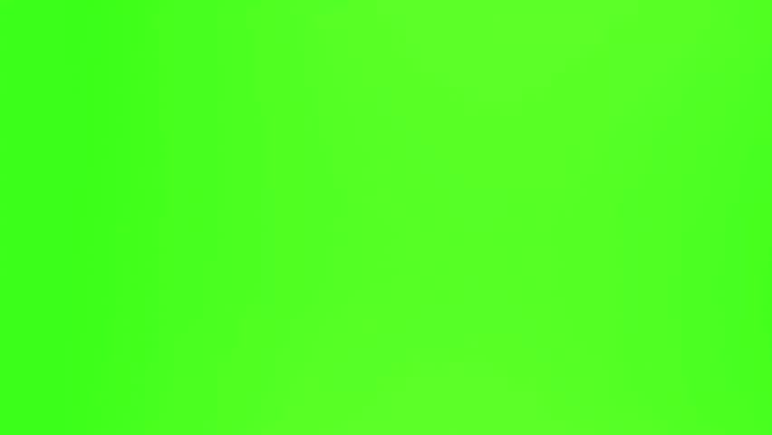 Shutterstock Video
