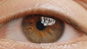 Extreme Close Up Of Hazel Eye With Intricate Detail Of Iris Eyelashes And Skin Texture In Bright Light - Powered by Shutterstock - Get 15% off with code: PIKWIZARD15