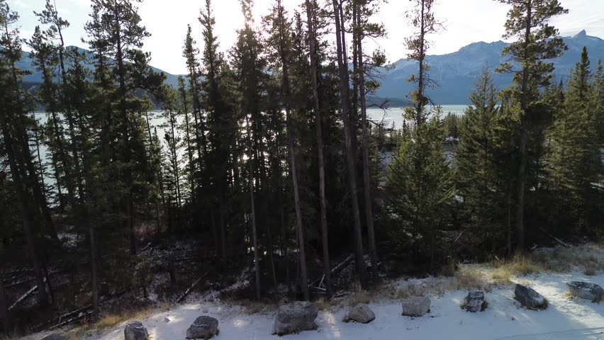 Flight above rugged peaks and coniferous forest in Banff National Park