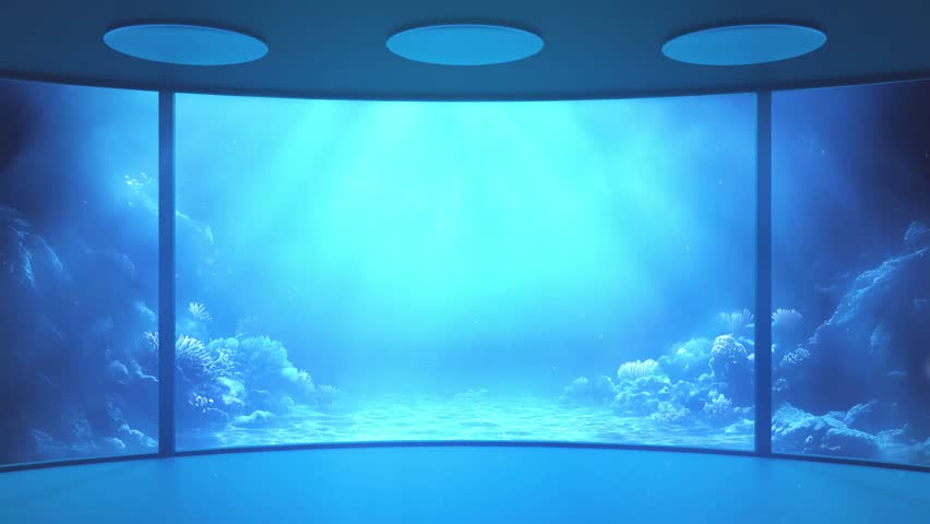 Shutterstock Video
