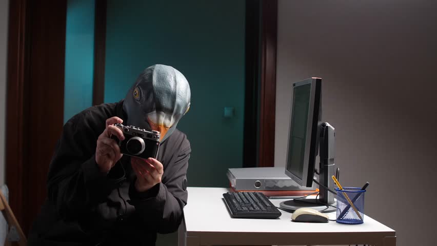 Pigeon mask photographer reviewing photos on vintage camera in office