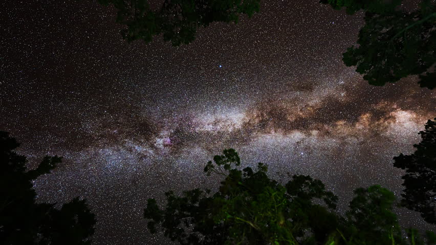 The bright Milky Way drifts across the dark night sky in a mesmerizing time-lapse, glowing above forest trees in a peaceful, star-filled scene.