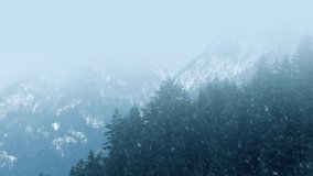 Misty Wilderness With Snow Falling - Powered by Shutterstock - Get 15% off with code: PIKWIZARD15