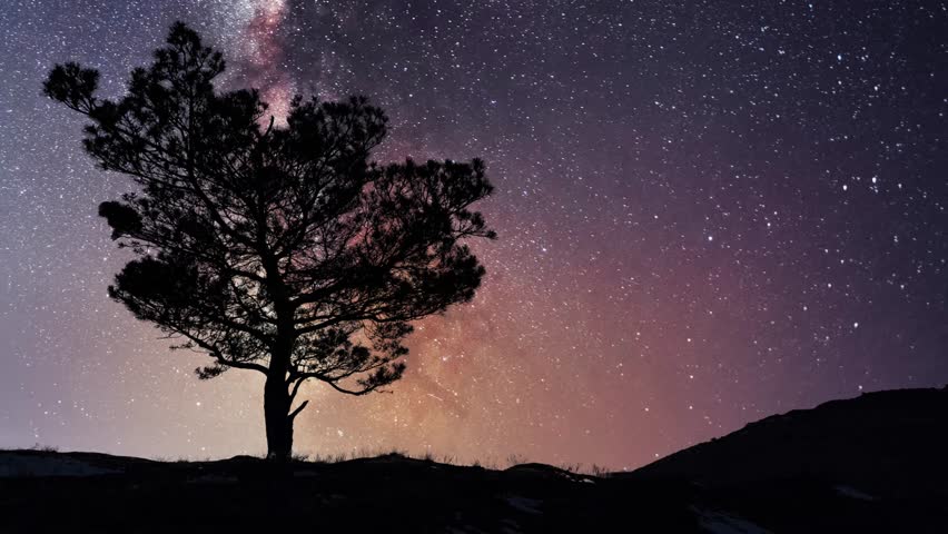 Beautiful night sky time lapse with Milky Way galaxy over trees silhouette. Night tight landscape starry sky.