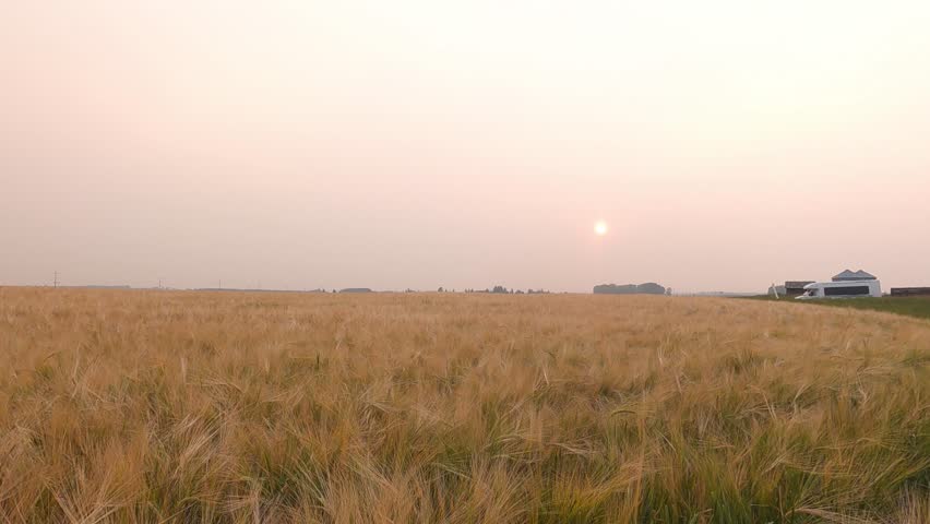 Stunning fall season, vibrant autumn colorful trees and blue sky, and soft sunlight casting a golden glow. Crisp airserene nature, and peaceful wilderness make this perfect for themes of tranquility