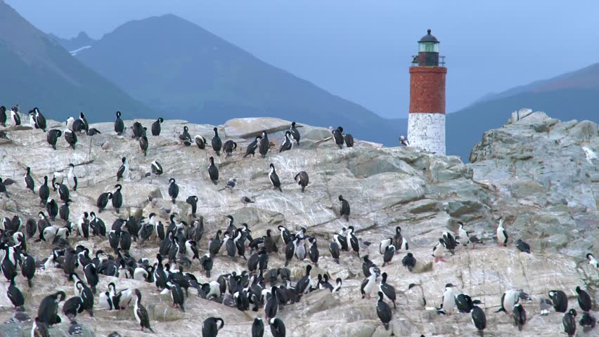 Aerial view of Les Eclaireurs Lighthouse and a rocky island with a large colony of Imperial Shags, Beagle Channel, Argentina.