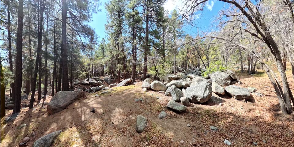 Mountain Hiking Trail Blue Skies Pine Trees