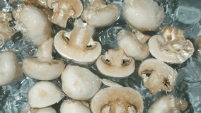 Group of White Mushrooms in a Water Splash Slow Motion. - Powered by Shutterstock - Get 15% off with code: PIKWIZARD15