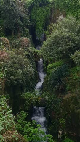 A scenic natural waterfall cascading down mossy rocks and surrounded by lush green vegetation. The peaceful stream flows through dense foliage, creating a serene jungle-like atmosphere. Ideal for natu