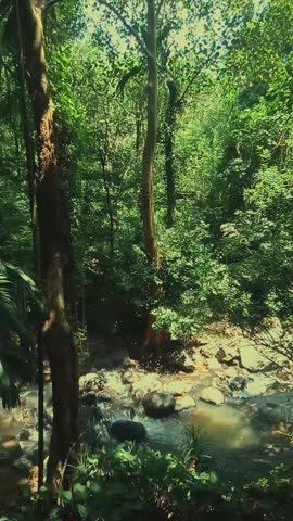 Claming  nature and water fall