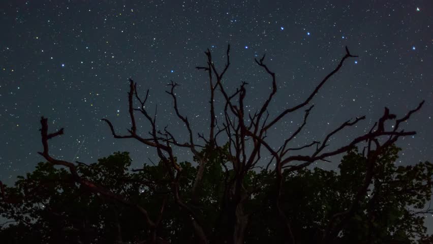 Night timelapse with dark sky full of stars