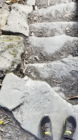 
Mount LeConte trail, Smoky Mountain hike, Appalachian trail views, remote hiking, mountain fog, Tennessee outdoors, mountain adventure, woodland path, scenic forest, wilderness photography, moody 
