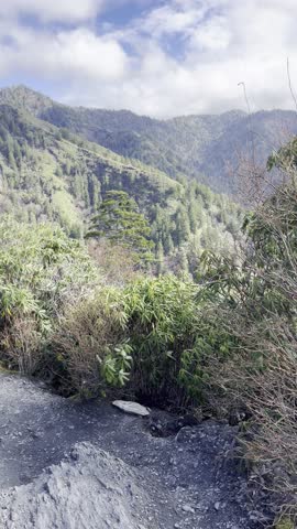 
Mount LeConte trail, Smoky Mountain hike, Appalachian trail views, remote hiking, mountain fog, Tennessee outdoors, mountain adventure, woodland path, scenic forest, wilderness photography, moody 
