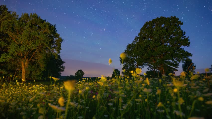 Night timelapse with dark sky full of stars