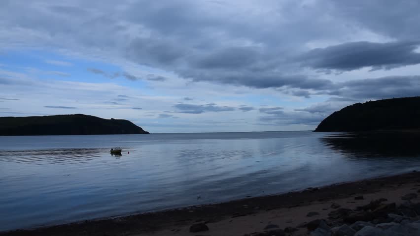 The Cromarty Firth on a peaceful summer's evening with a small boat in the distance, a gull swimming in the water, a small beach and hills either side of the water.