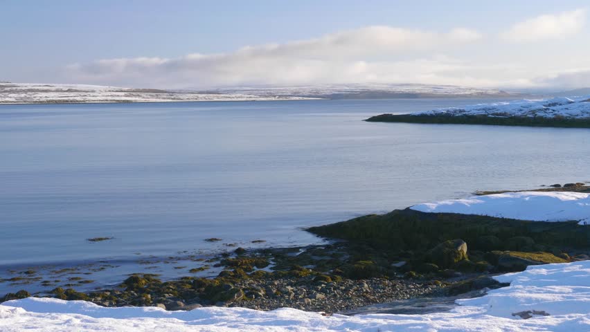 Drone footage captures the raw beauty of Motovsky Bay’s icy coastal landscape, highlighting snow, rocky terrain, and cold Arctic waters.