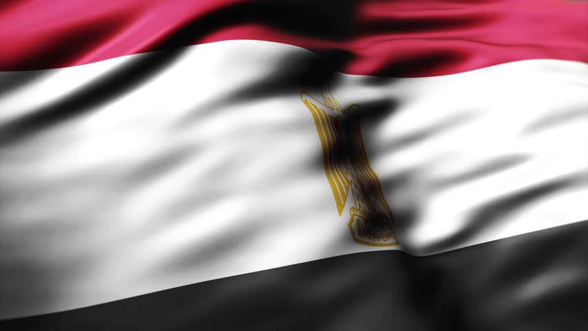 Egypt Custom Flag Texture Background