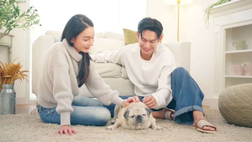 Happy Asian family couple enjoy and fun playing with senior Pug dog breed in living room. Husband and wife relaxing with domestic dog at home. Pet humanization, pet parent and senior pet healthcare.