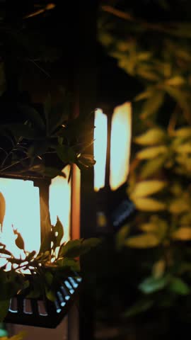 Night, small lanterns shine in the bushes, Small Solar Garden Light, Lanterns In Flower Bed. Garden Design. Solar Powered Lamp