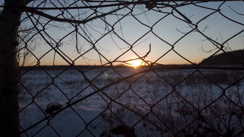 Hands of man holding and shaking chain link mesh fence at sunset, immigration concept