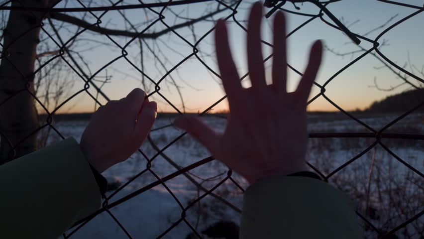 Hands of man holding and shaking chain link mesh fence at sunset, immigration concept