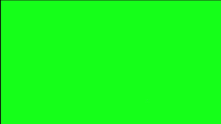 Shutterstock Video
