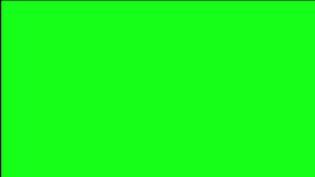 Thank You Animated Text on Green Screen - Powered by Shutterstock - Get 15% off with code: PIKWIZARD15