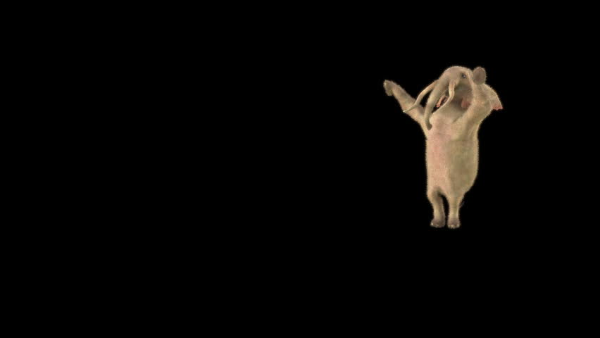 Elephant Dancing 3d rendering, Included in the end of the clip with Luma matte.
