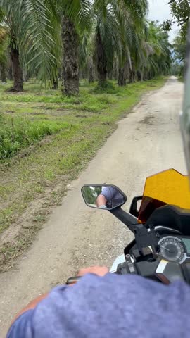 Tropical travel and transport. Man in helmet riding scooter on the road with palm trees.