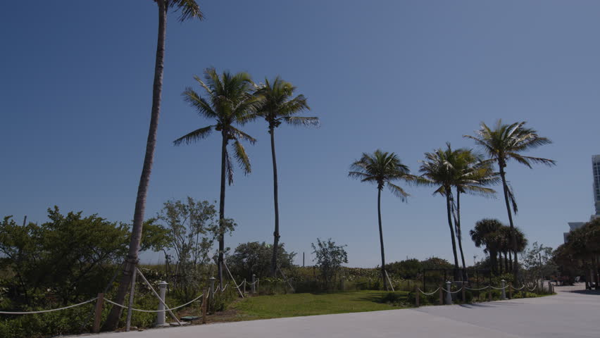 Empty beach walk view of slow motion palm trees along the ocean on a clear blue sky sunny day with no people near vacation resorts on holiday in this cinematic paradise establishing shot in 6K.