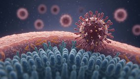 3D animation shows a coronavirus particle detaching and moving upwards from a dense field of blue cilia on a host epithelial cell surface, with other virions in the background. - Powered by Shutterstock - Get 15% off with code: PIKWIZARD15